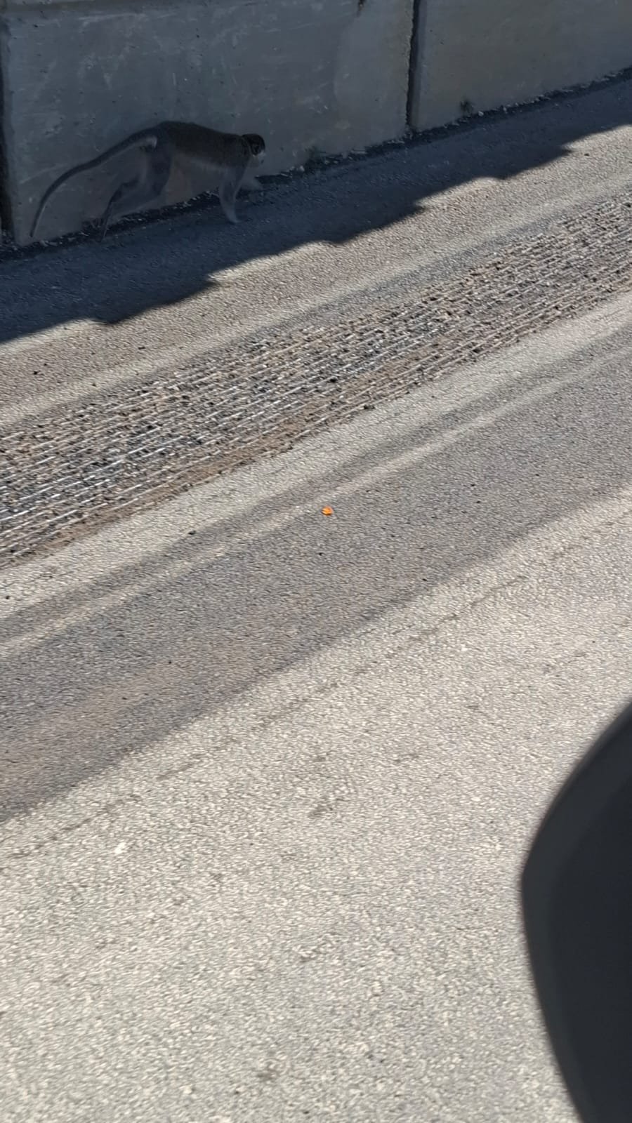 גשש בכיר חטיבת מנשה רנ"ג ד. והחייל סמ"ל חסן הייב