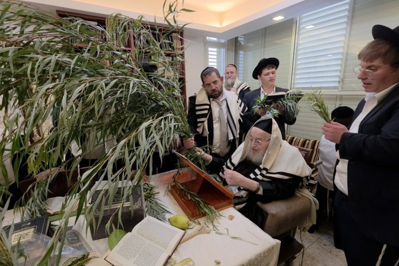 שוקי לרר