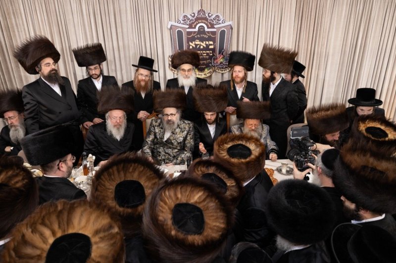 יענקי ורטהיימר