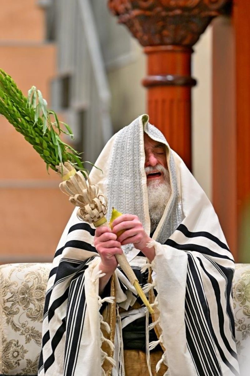 יהושע פרוכטר