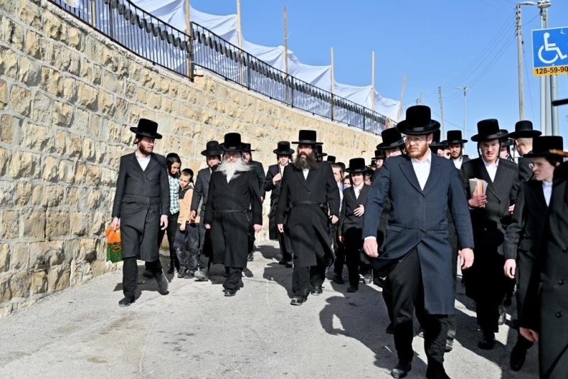 יהושע פרוכטר