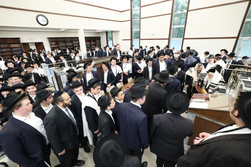 שמוליק קורלנסקי