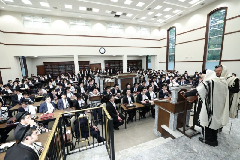 שמוליק קורלנסקי