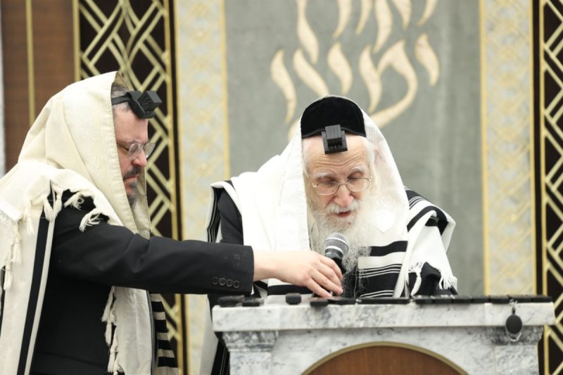 שמוליק קורלנסקי