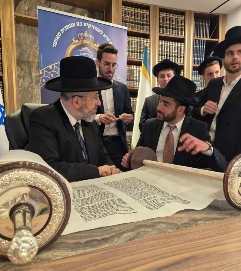 אריאל אוחנה