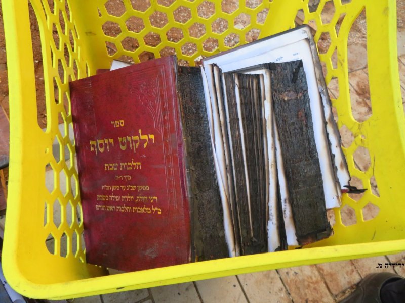 ידידיה מ.
