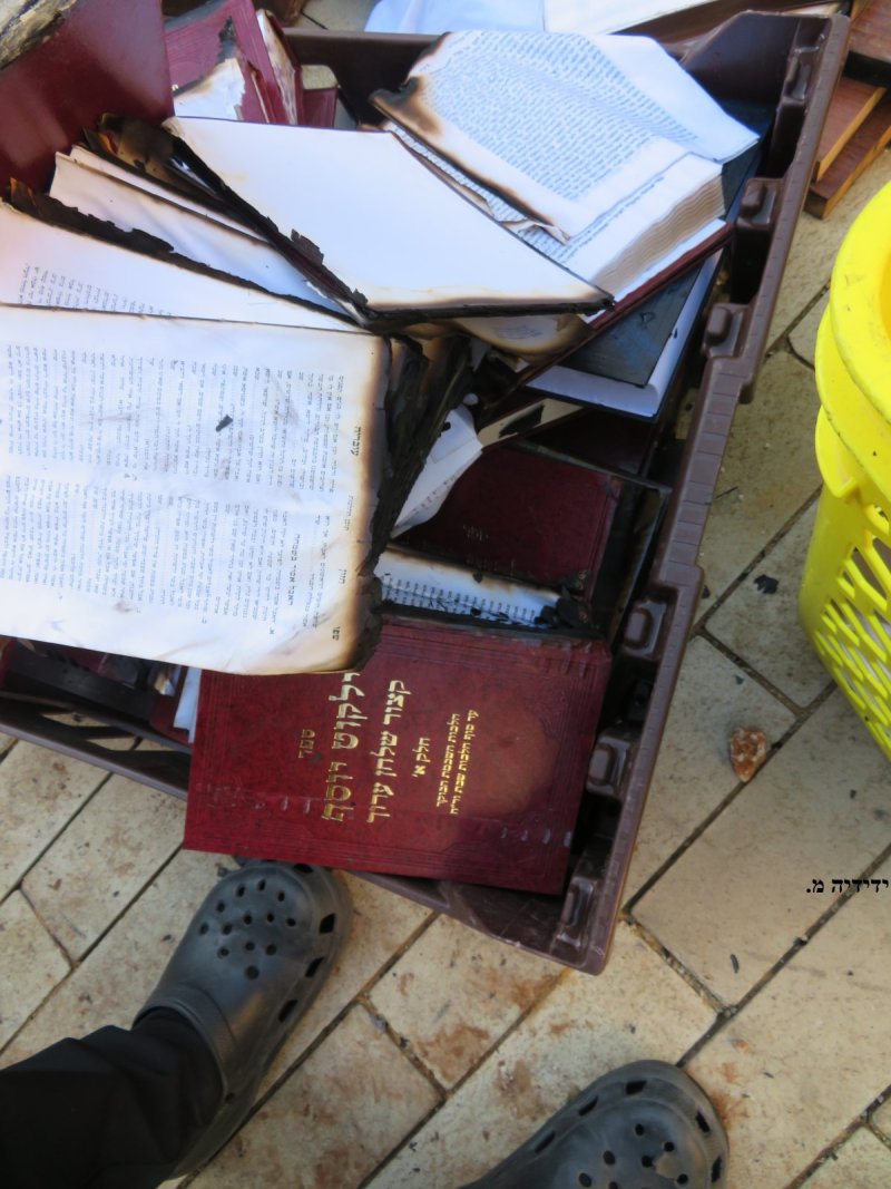ידידיה מ.