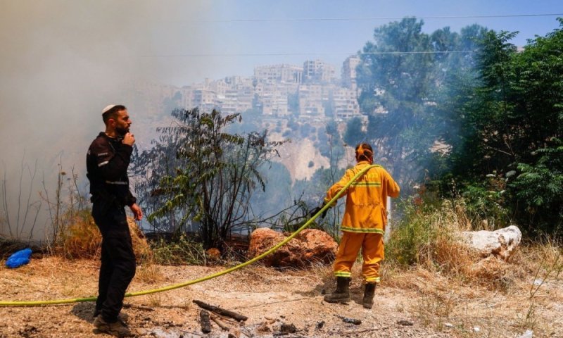 אימה בשכונות החרדיות: "היער הפך מקום שורץ פעילות מפוקפקת"