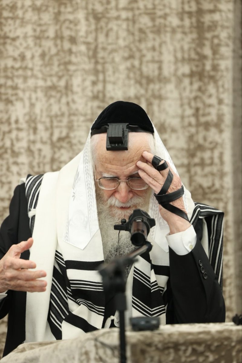 שמוליק קורלנסקי