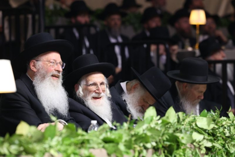 שמוליק קורלנסקי