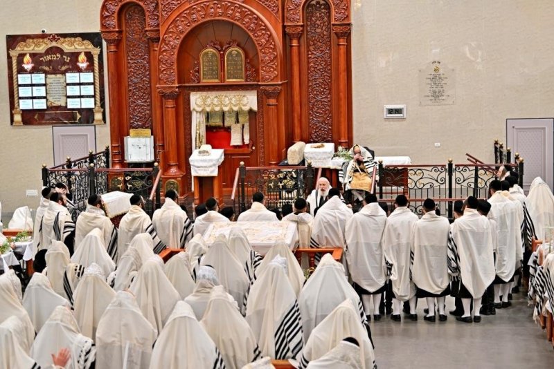 יהושע פרוכטר