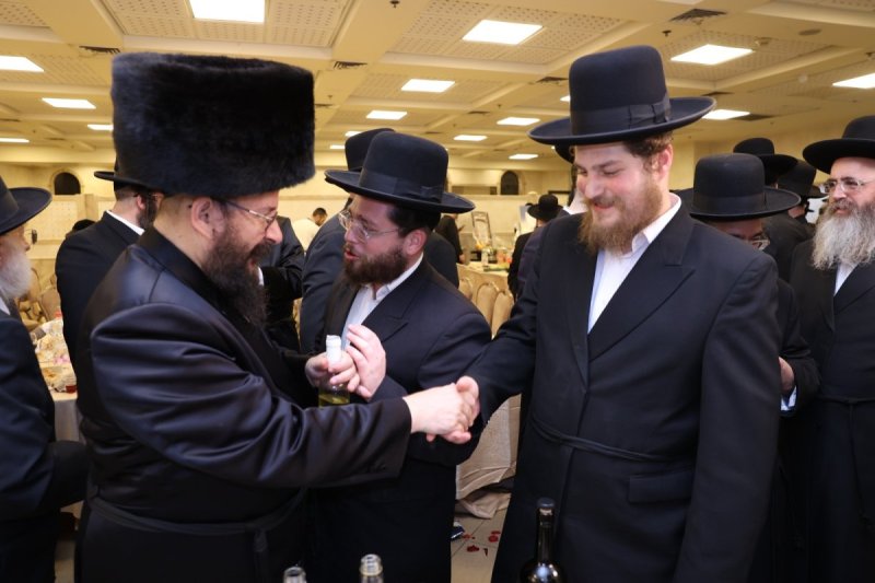 לוי עמית