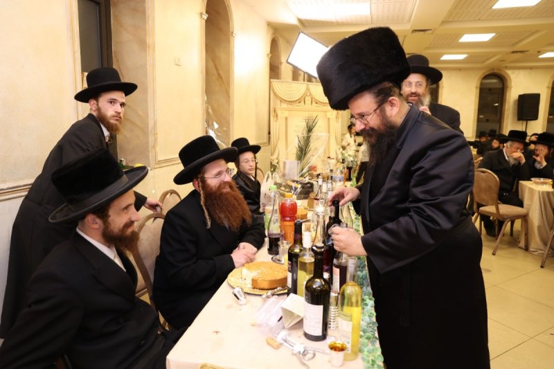 לוי עמית