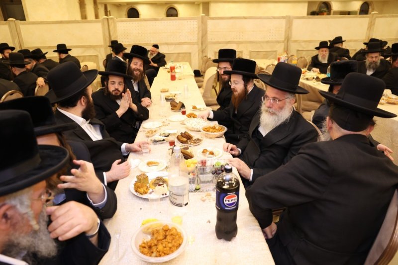 לוי עמית