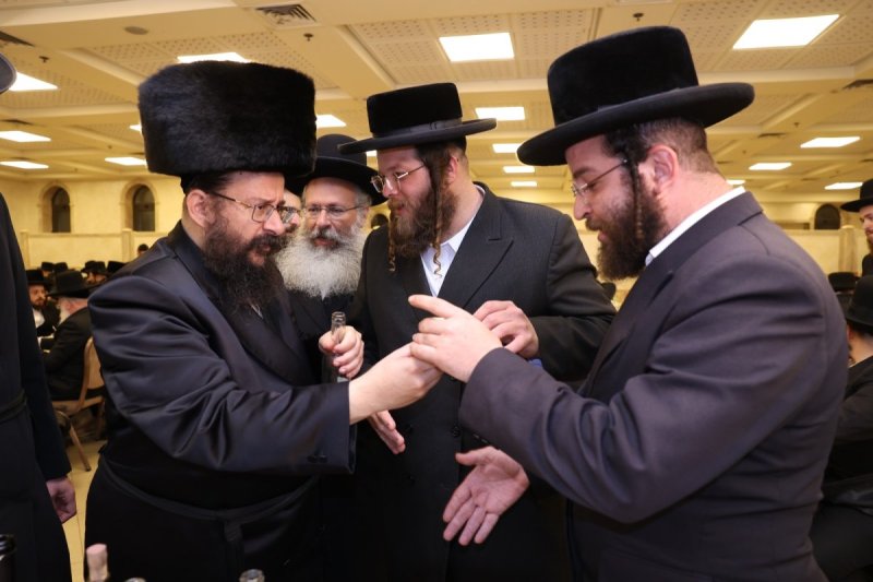 לוי עמית