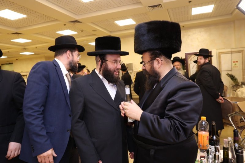 לוי עמית
