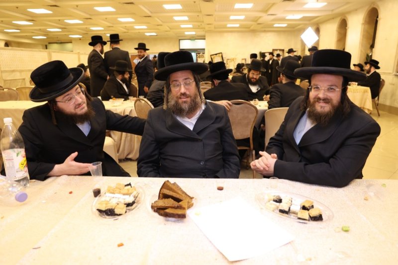 לוי עמית