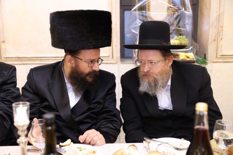לוי עמית