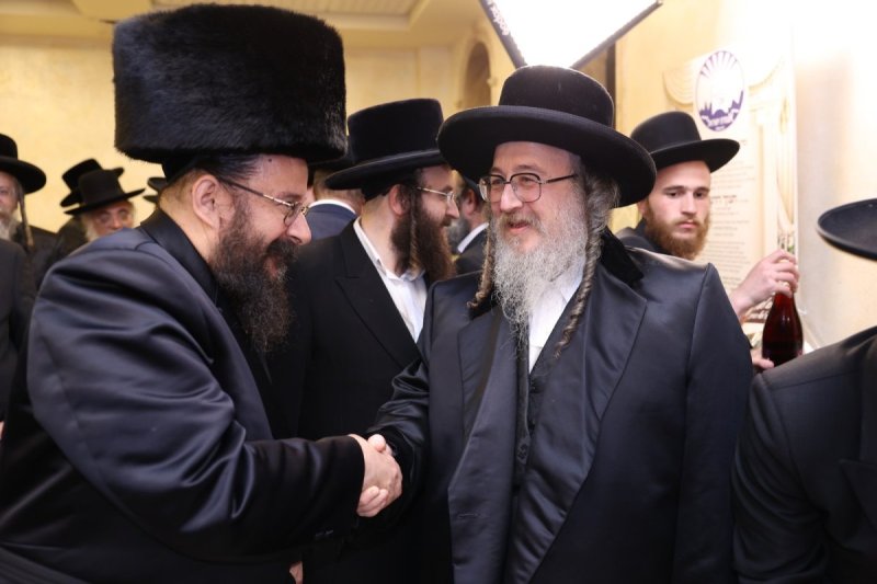 לוי עמית
