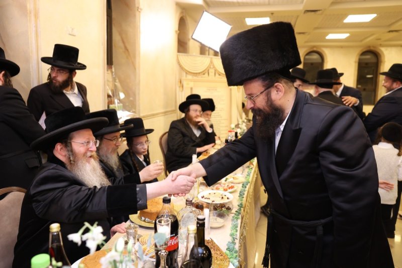 לוי עמית