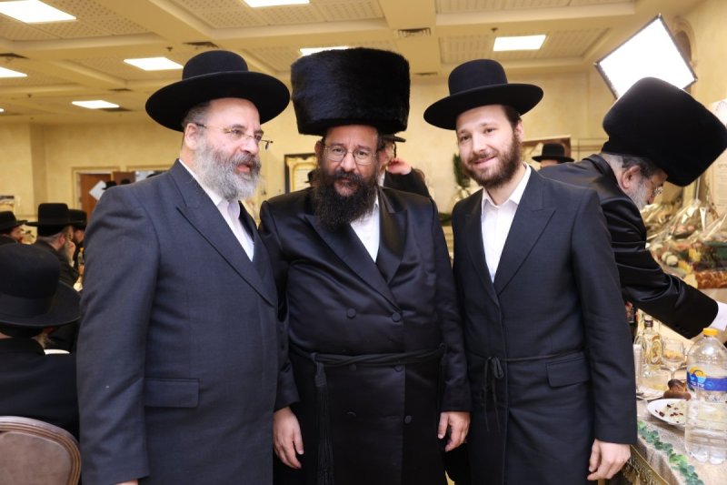 לוי עמית