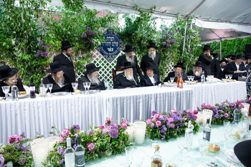 אשר וינגרטן