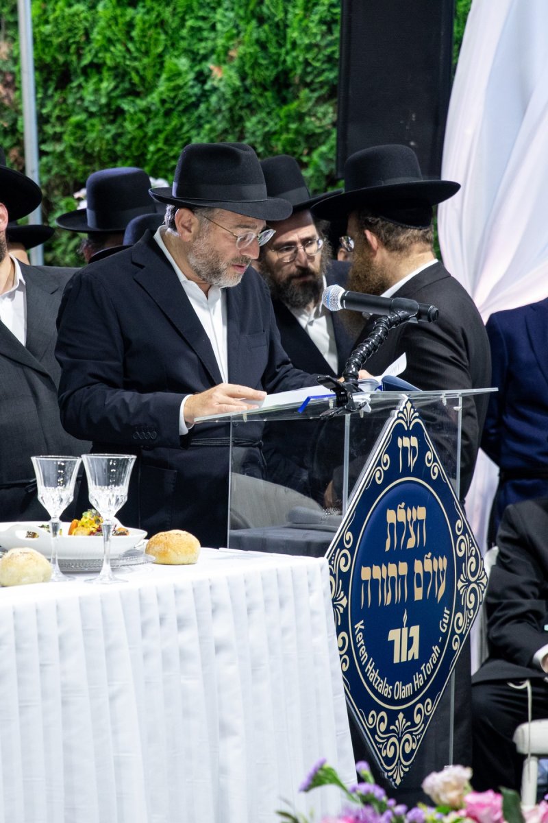 אשר וינגרטן