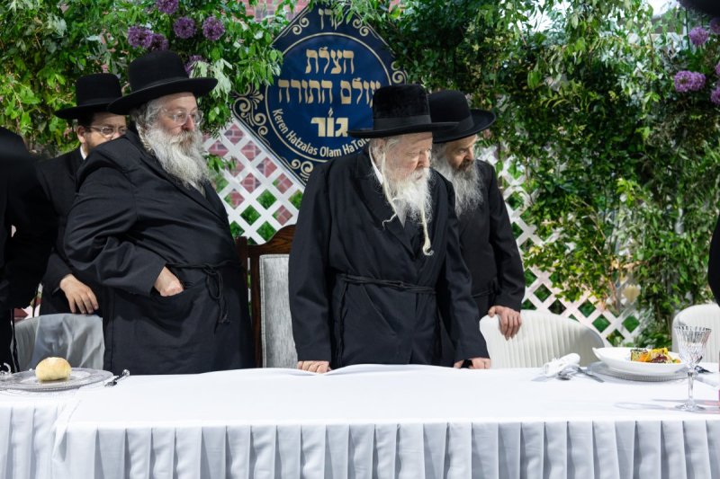 אשר וינגרטן