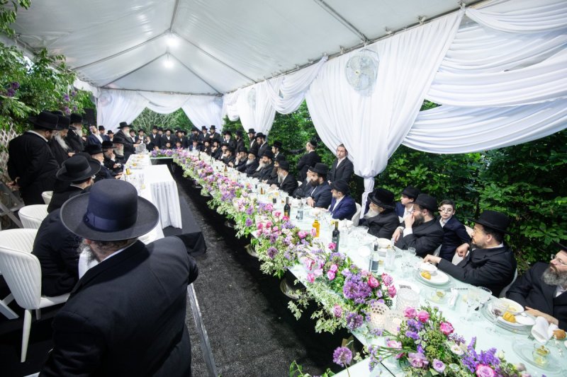 אשר וינגרטן