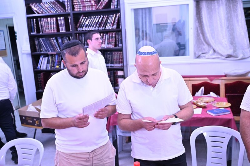 ליפא מוזר