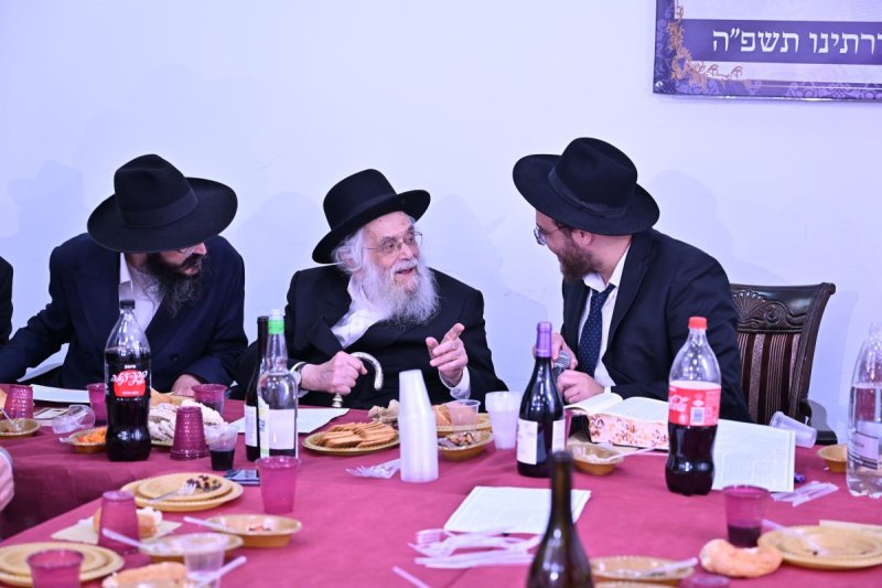 ליפא מוזר