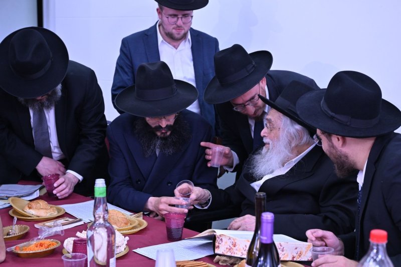 ליפא מוזר
