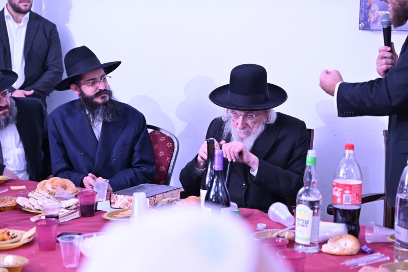 ליפא מוזר