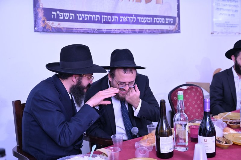 ליפא מוזר
