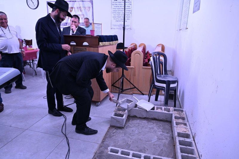 ליפא מוזר
