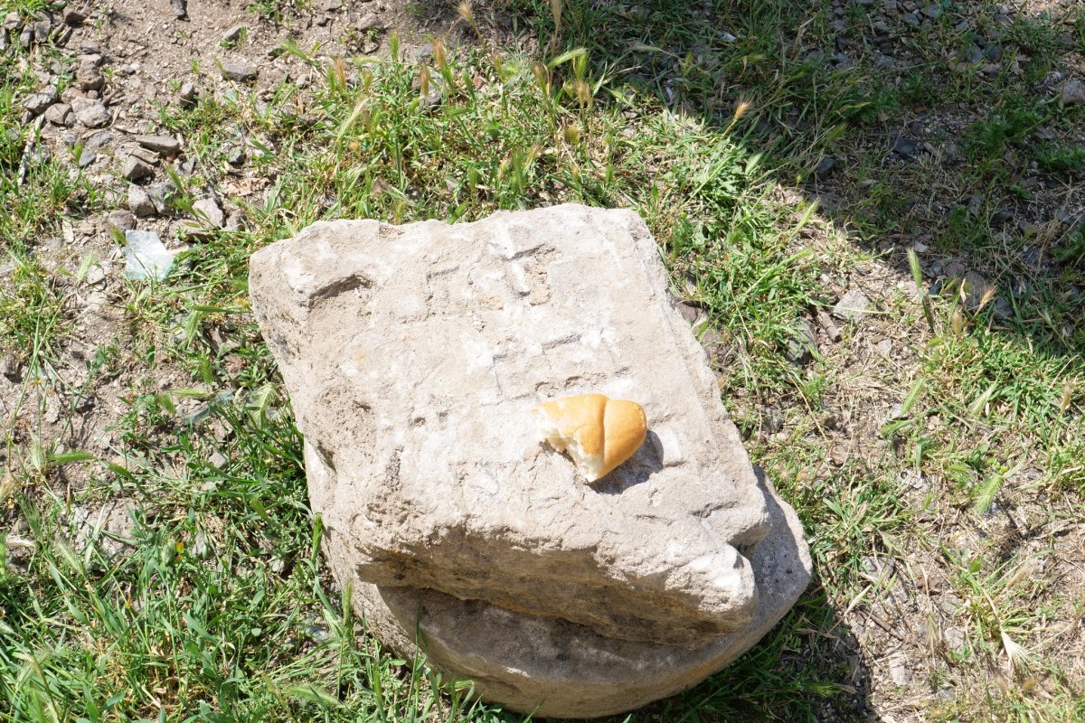 ויטלי קמוזין