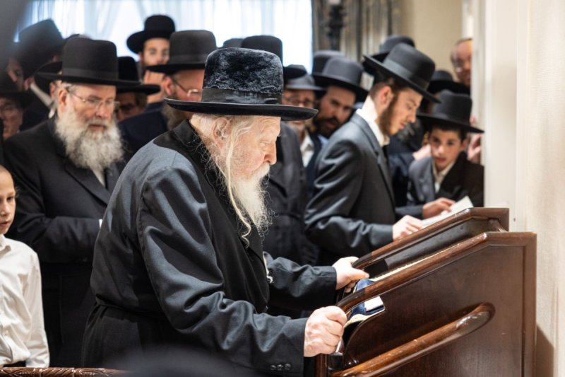 אשר וינגרטן