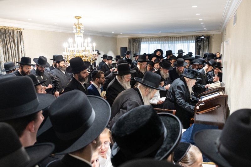 אשר וינגרטן