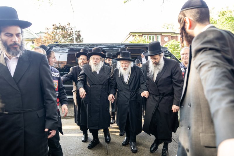 אשר וינגרטן