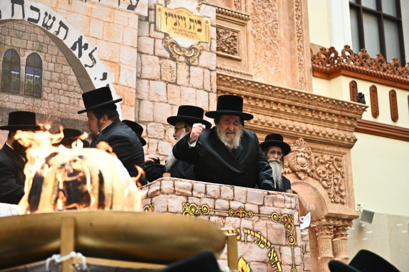 שוקי לרר