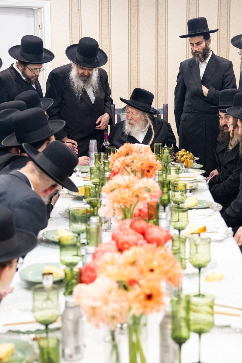 אשר וינגרטן