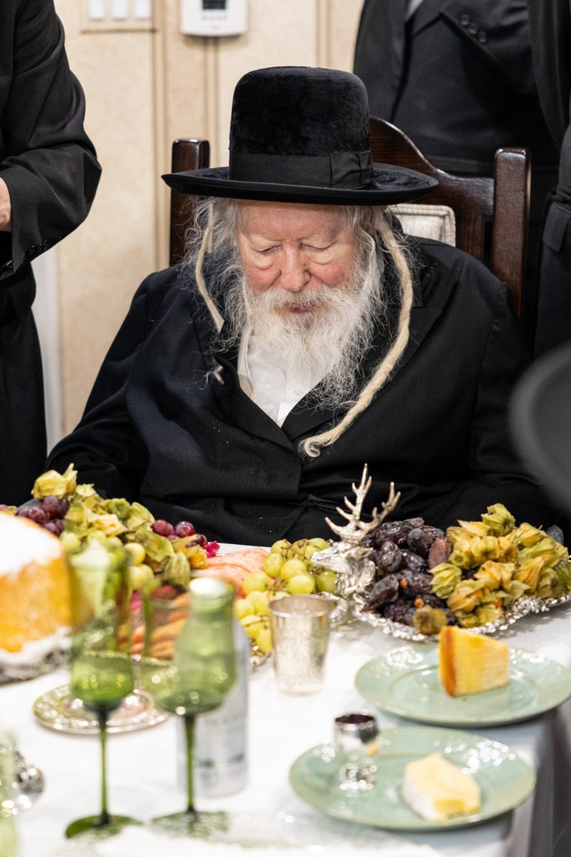 אשר וינגרטן