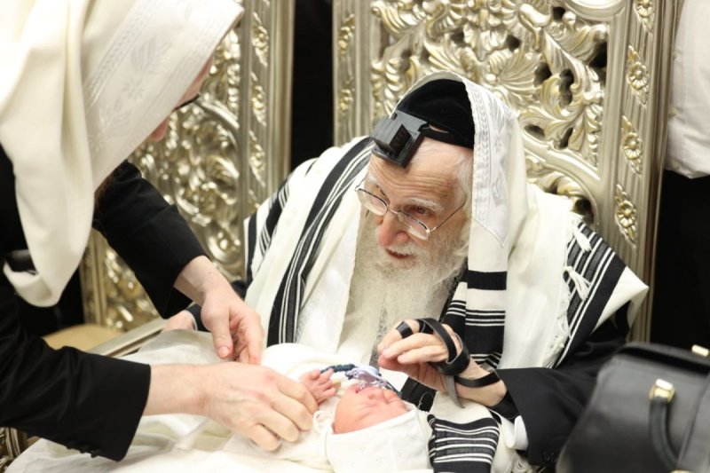 שמוליק קורלנסקי