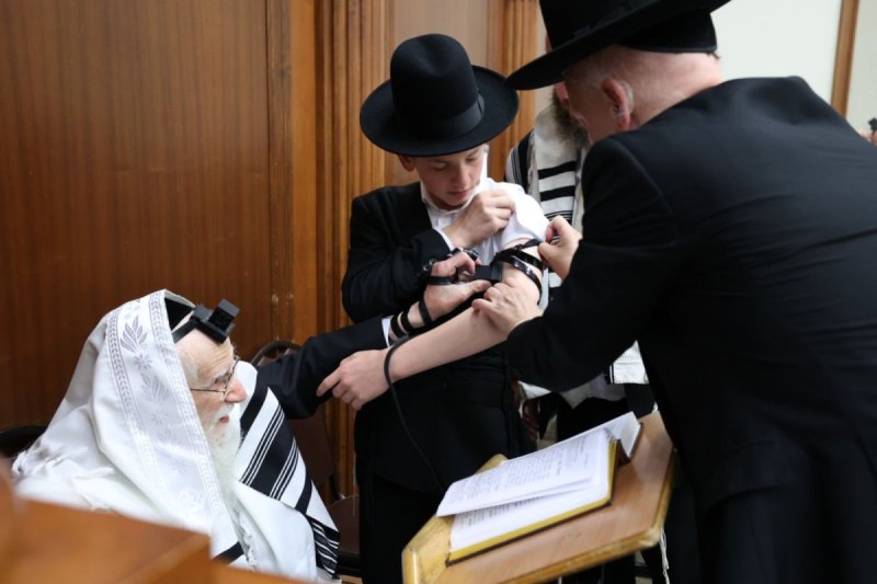 שמוליק קורלנסקי