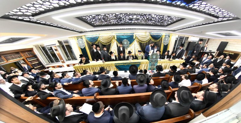 יהודה פרקוביץ