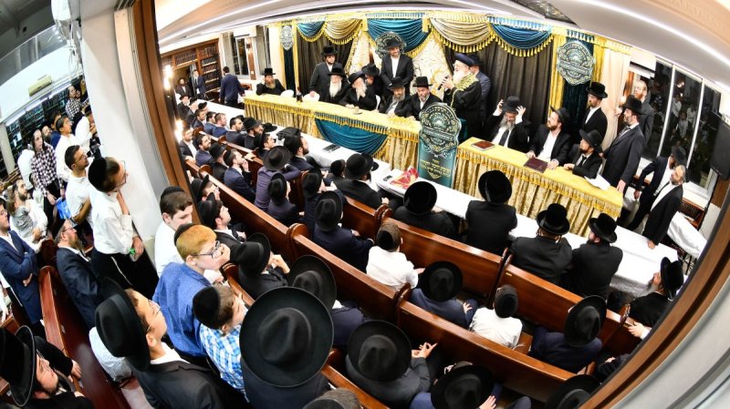 יהודה פרקוביץ