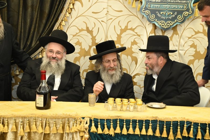 יהודה פרקוביץ