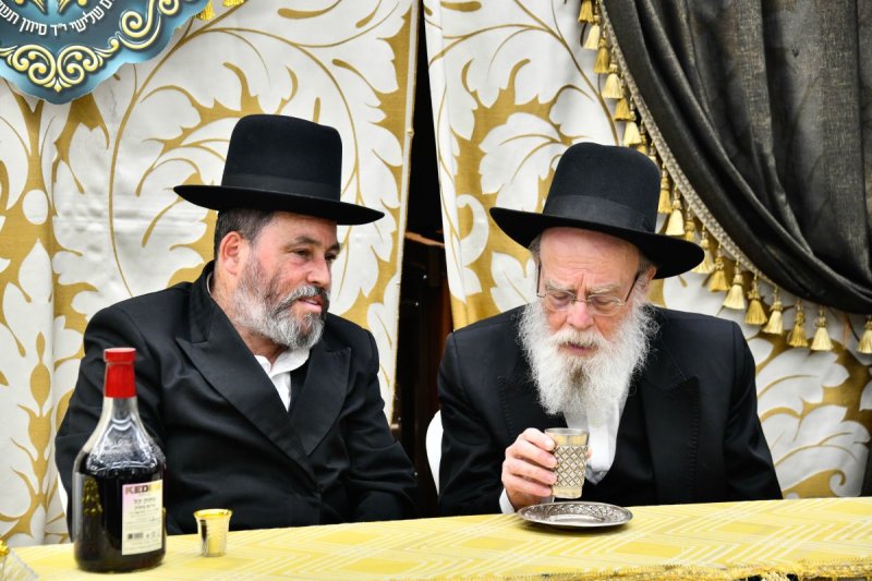 יהודה פרקוביץ