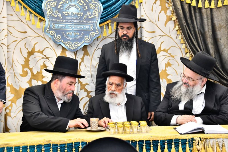 יהודה פרקוביץ