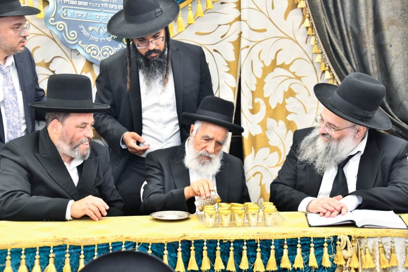 יהודה פרקוביץ